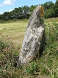 Menhirs de Bergard