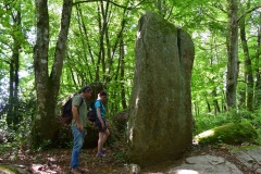 Menhir de Bos Calers