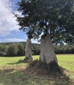 Kernars menhirs - PID:247086