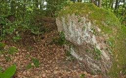 Allée couverte de la Grée de Trévelot