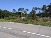 Dolmen du Manio