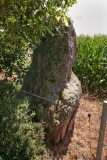 Petit-Resto menhir