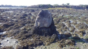 Petit Niheu menhir