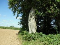Menhir Le Bignon
