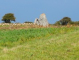 Menhirs le Vieux-Moulin (N) - PID:125016