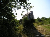 La Pierre Blanche (Trehiguier)