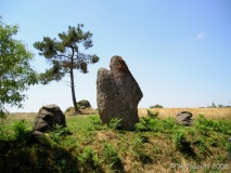 Menhir Fourchu