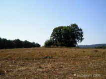 Roche de Migourdy