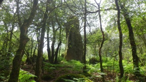 Menhir dit Hiquem Mam Coz