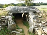 Larcuste Cairns - PID:84057