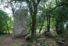 Géants de Kerzerho