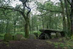 La Loge au Loup