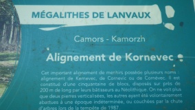 Kornevec Alignement