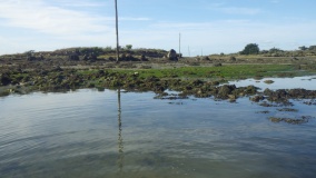 Petit Niheu menhir