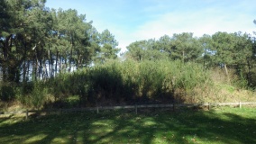 Tumulus du Rocher