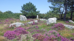 Menhirs de Narbon