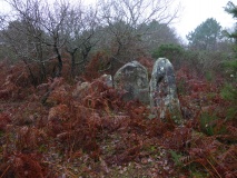 Dolmen de Pont-er-Lenn