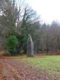 Goh Menhir menhir