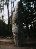 Geant du Manio