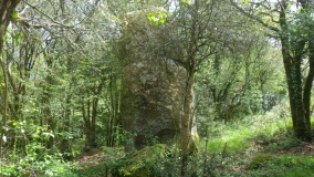 Menhir dit Hiquem Mam Coz
