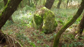 Menhir de Kervenahuel