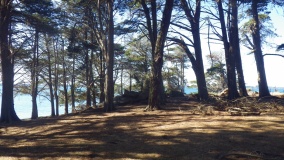 Dolmen de la Pointe de Liouse