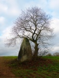 Kerarmel Menhir