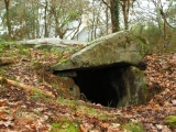 Mané-Brizil dolmen submitted by binardino