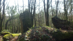 Menhir de Bos Calers