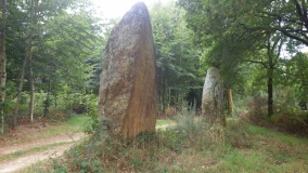 Menhirs de Pont-Bertho 1