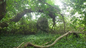 Menhir du Bourg (Plouhinec)