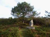 Menhirs de Narbon
