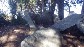 Dolmen de la Pointe de Liouse