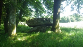 Dolmen de Guidfosse