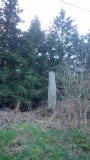 Menhir du Mené