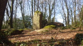 Menhir de Bos Calers
