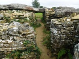 Larcuste Cairns - PID:84060