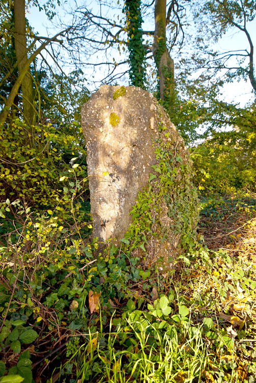 Click for the gallery page to add comments and vote (PID:114907) Kerhoret menhirs