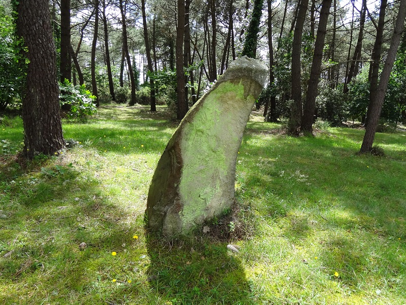 Click for the gallery page to add comments and vote (PID:189468) Menhir de Mériadec
