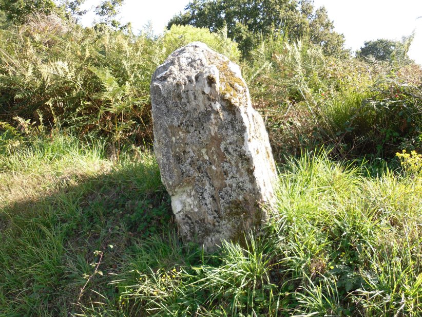 Click for the gallery page to add comments and vote (PID:127238) Menhir de Kerbiguiet