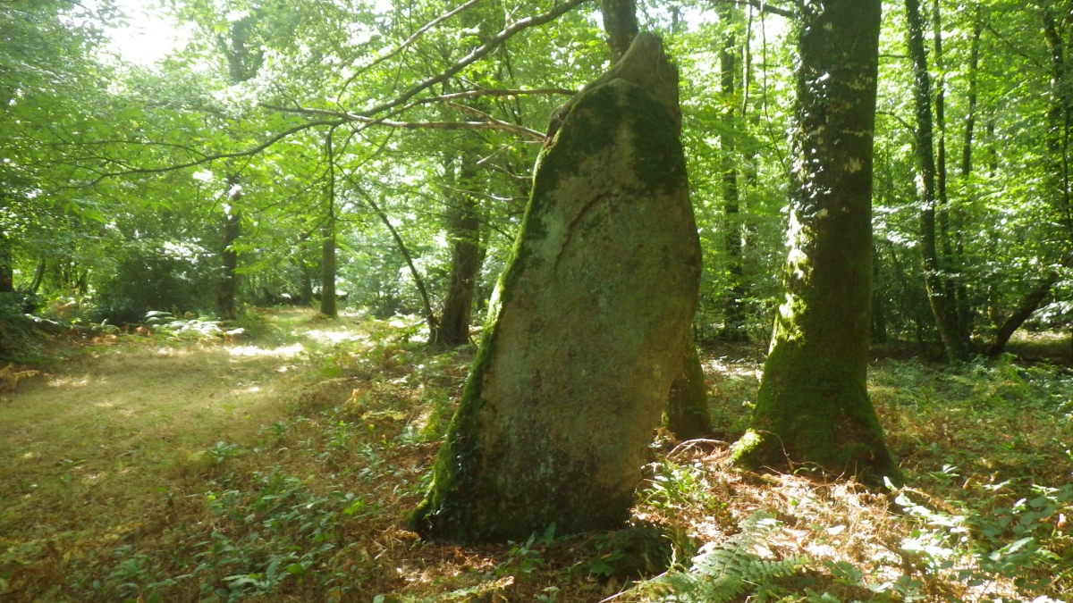 Menhirs de Carahaix