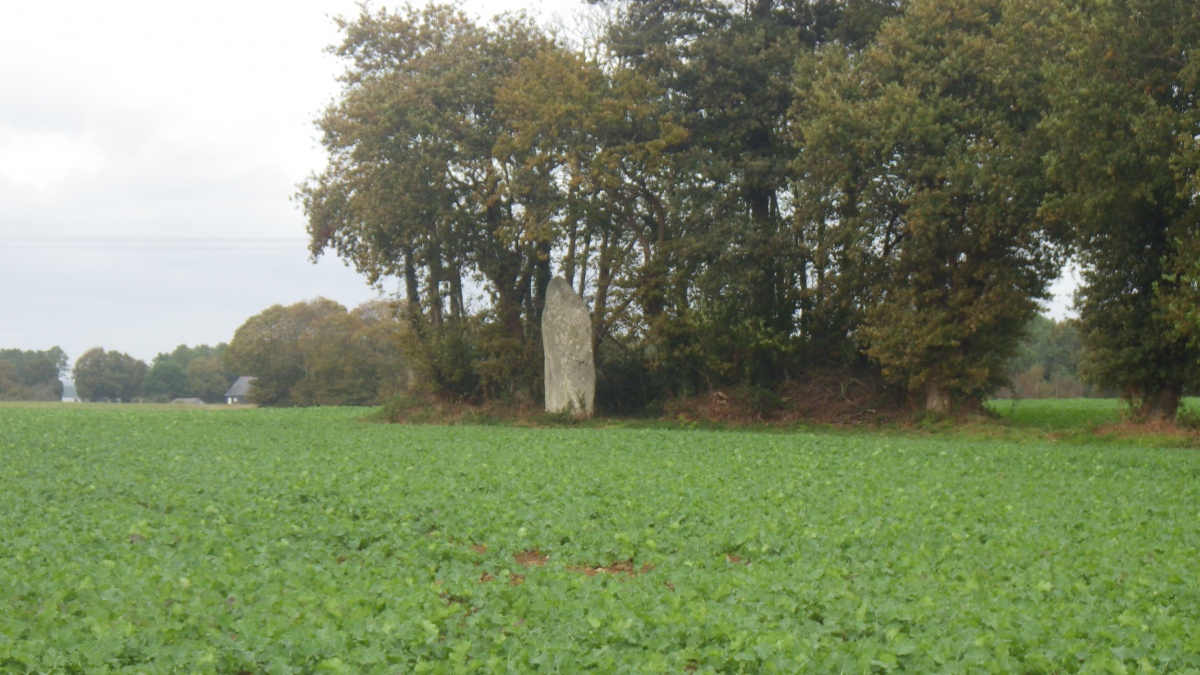 Menhir Le Bignon