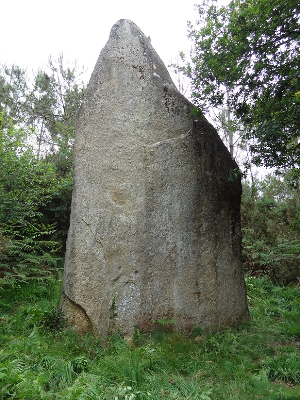 The front of the huge 6.5m high menhir, June 25, 2012