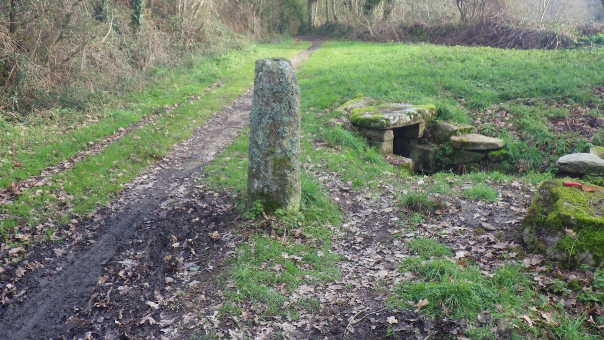Menhir et Fontaine de Kervive