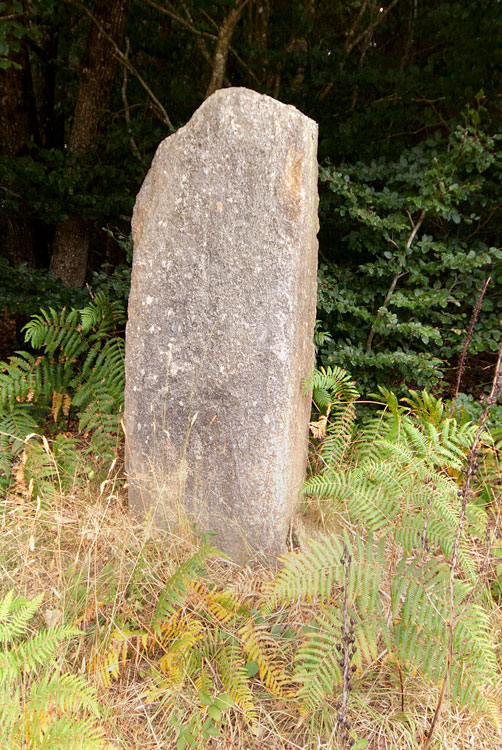 Menhirs de Coëby 1