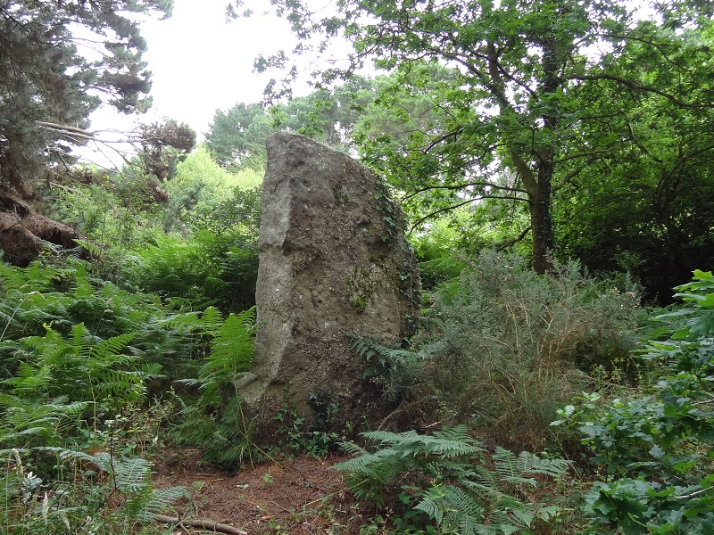 Menhir du Halguen