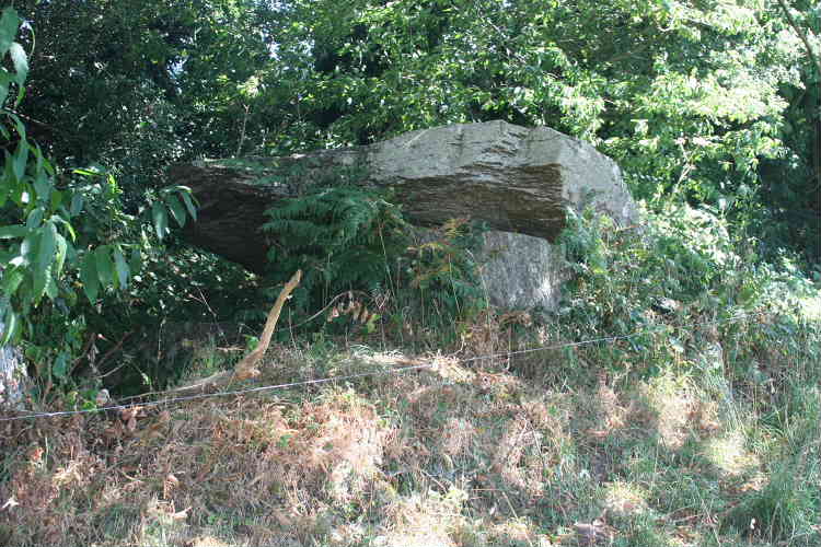 Moulin René