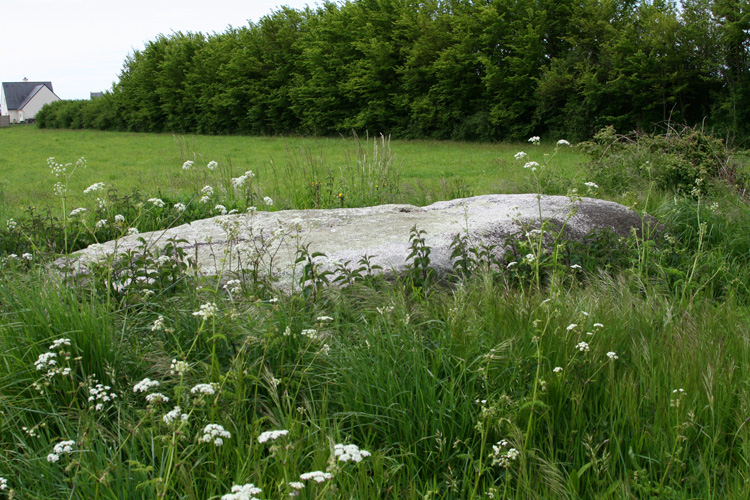 Click for the gallery page to add comments and vote (PID:47387) Menhir de Kerdalaë-Lesconil