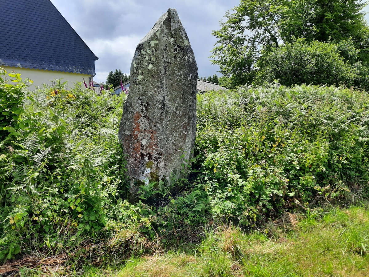 Click for the gallery page to add comments and vote (PID:275418) Leintant menhir
