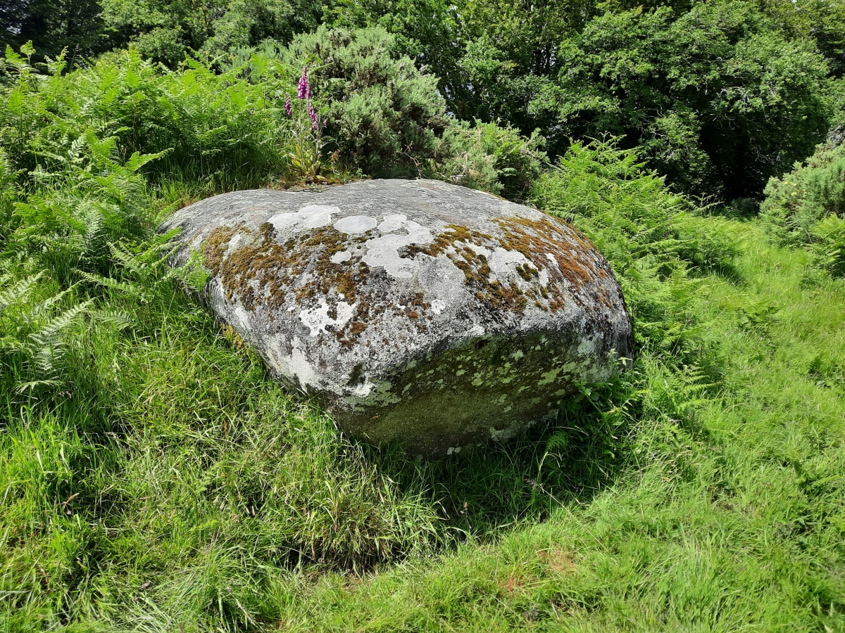Click for the gallery page to add comments and vote (PID:275428) Menhir de Coat Mocun 2
